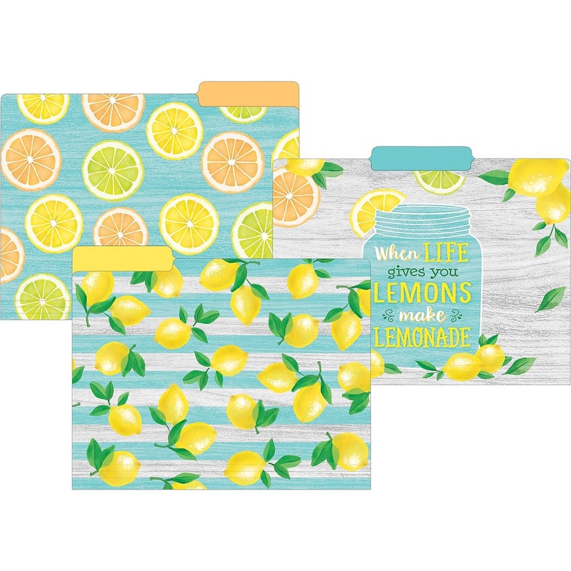 Teacher Created Resources Lemon Zest File Folders (TCR8542) - Image 1